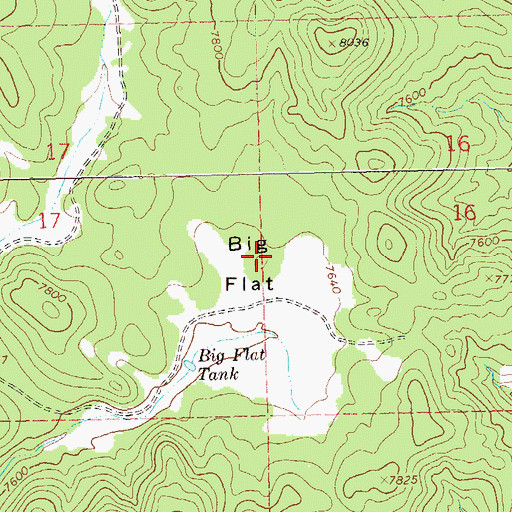 Topographic Map of Big Flat, NM
