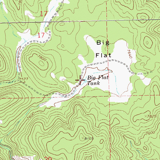 Topographic Map of Big Flat Tank, NM