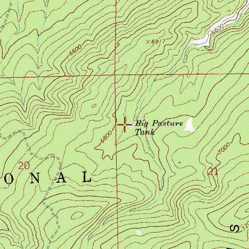 Topographic Map of Big Pasture Tank, NM