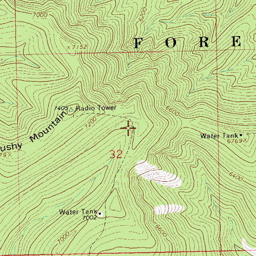 Topographic Map of Big Pine Canyon, NM