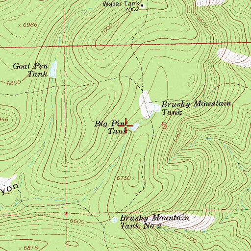 Topographic Map of Big Pine Tank, NM