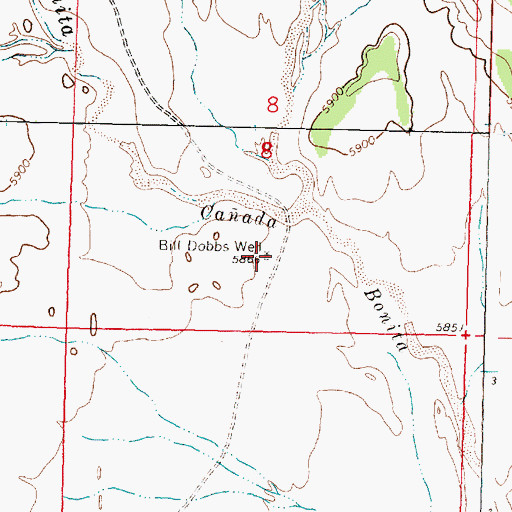 Topographic Map of Bill Dobbs Well, NM