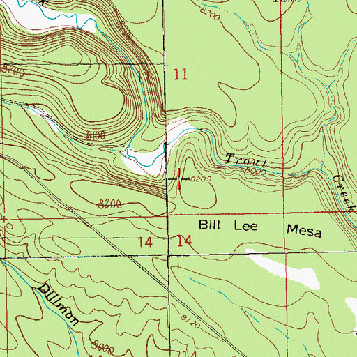 Topographic Map of Bill Lee Mesa, NM