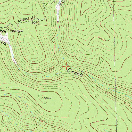 Topographic Map of Bill Lewis Cienega, NM