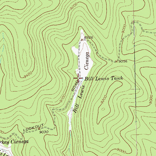Topographic Map of Bill Lewis Tank, NM
