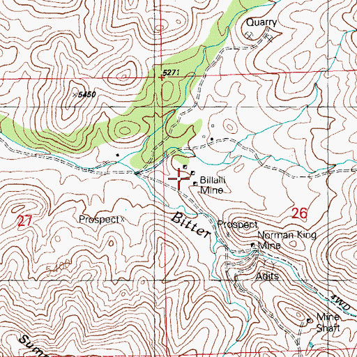 Topographic Map of Billalli Mine, NM