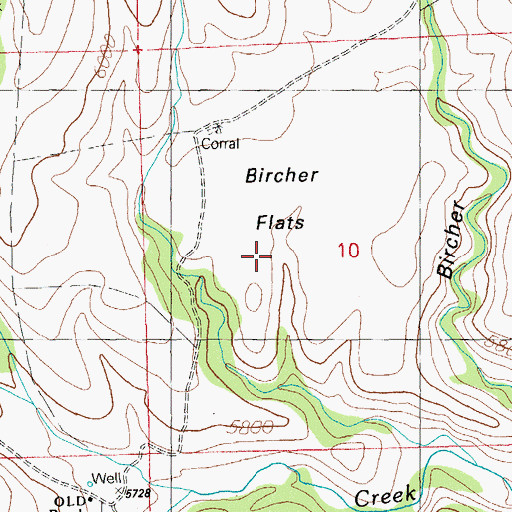 Topographic Map of Burtcher Flats, NM