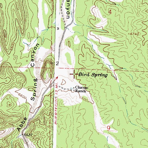 Topographic Map of Bird Spring, NM