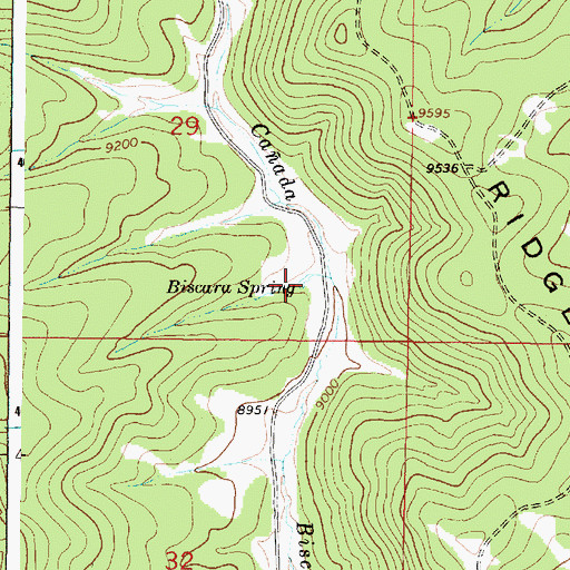 Topographic Map of Biscara Spring, NM