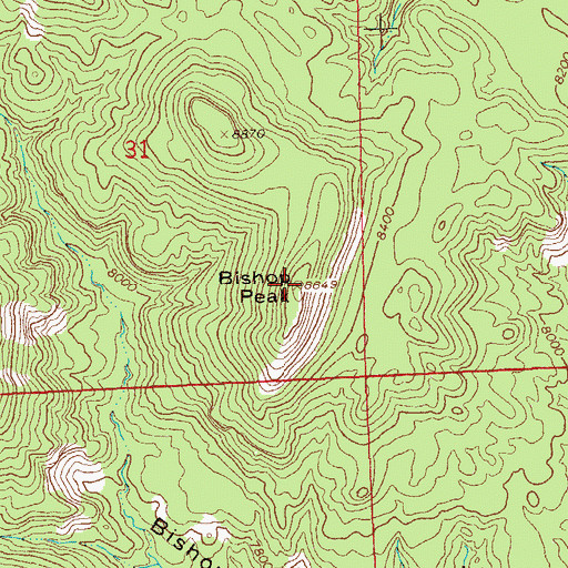 Topographic Map of Bishop Peak, NM