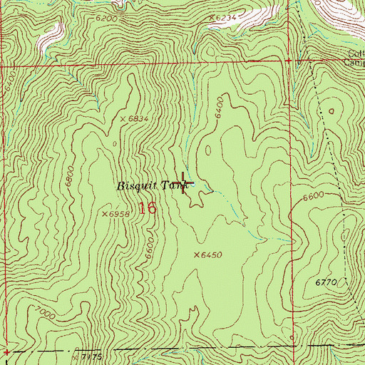 Topographic Map of Bisquit Tank, NM