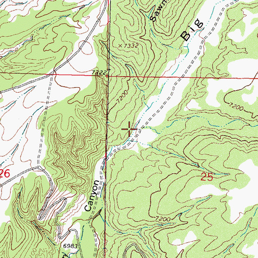 Topographic Map of Bitter Canyon, NM
