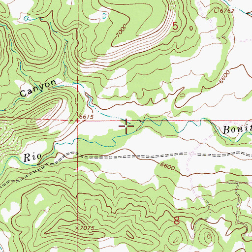Topographic Map of Bitter Canyon, NM