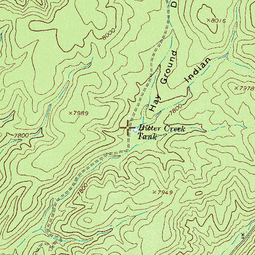 Topographic Map of Bitter Creek Tank, NM
