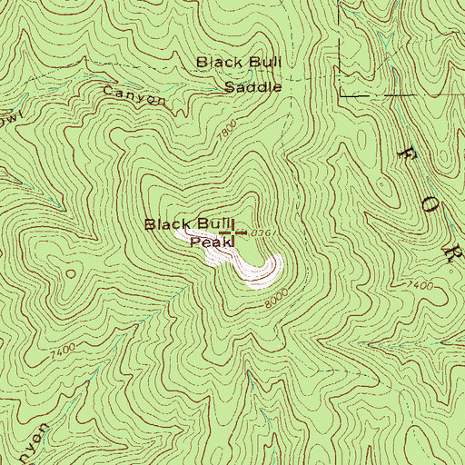 Topographic Map of Black Bull Peak, NM