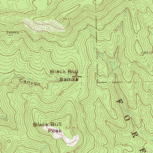 Topographic Map of Black Bull Saddle, NM