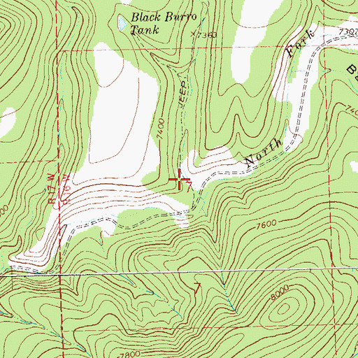 Topographic Map of Black Burro Canyon, NM