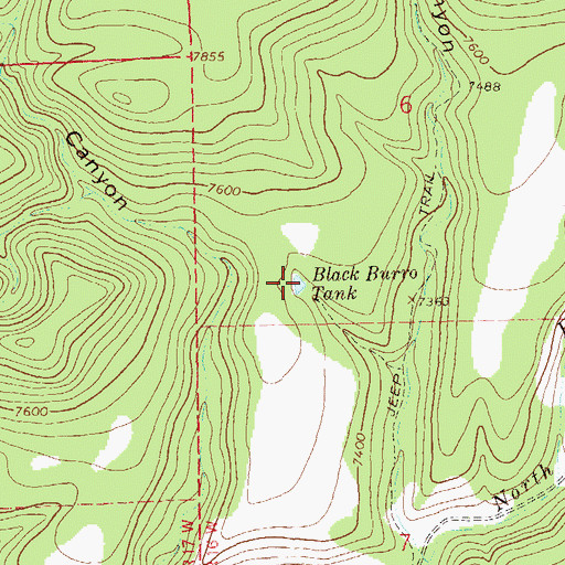 Topographic Map of Black Burro Tank, NM