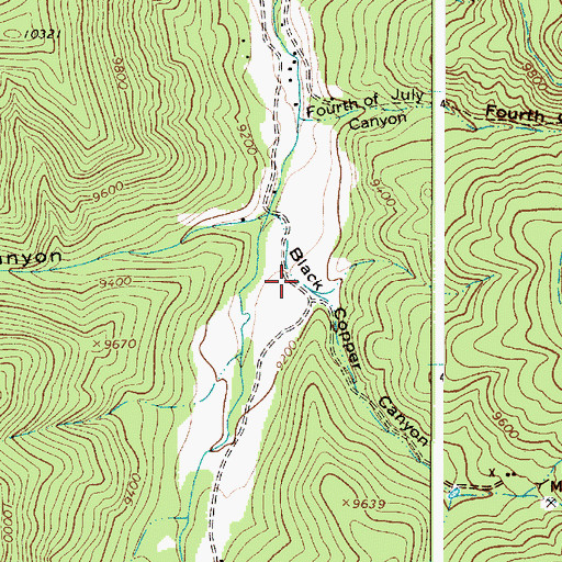 Topographic Map of Black Copper Canyon, NM