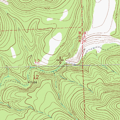 Topographic Map of Black Horse Canyon, NM