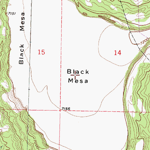 Topographic Map of Black Mesa, NM