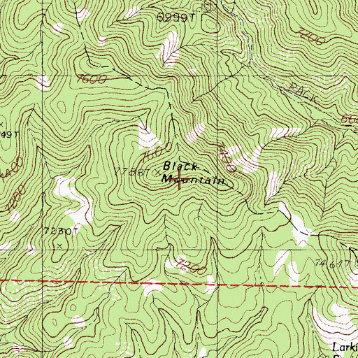 Topographic Map of Black Mountain, NM