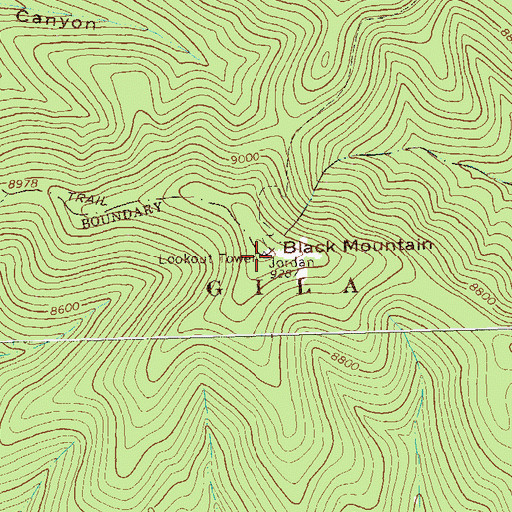 Topographic Map of Black Mountain, NM