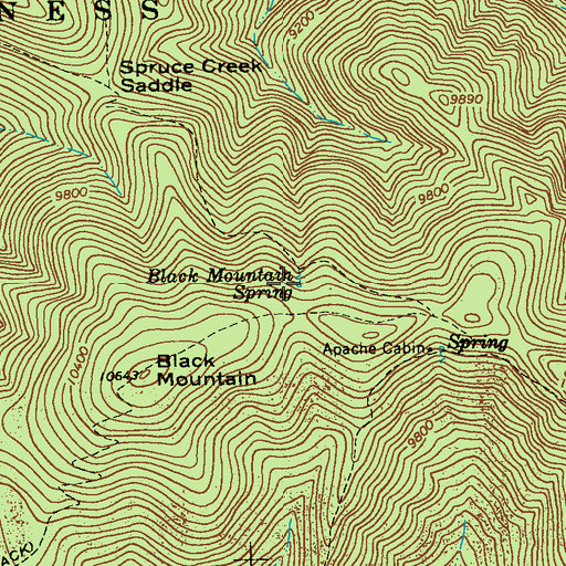Topographic Map of Black Mountain Spring, NM