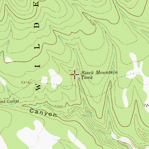 Topographic Map of Black Mountain Tank, NM