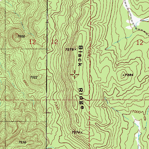 Topographic Map of Black Ridge, NM