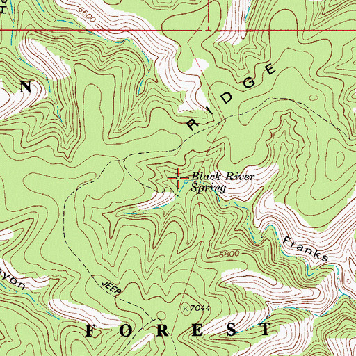 Topographic Map of Black River Spring, NM
