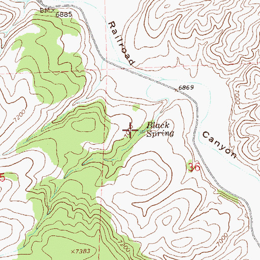 Topographic Map of Black Spring, NM