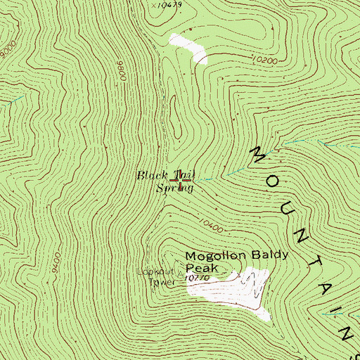 Topographic Map of Black Tail Spring, NM