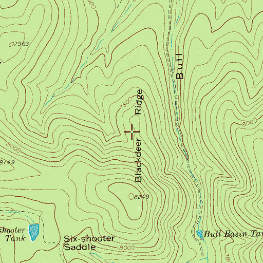 Topographic Map of Blackdeer Ridge, NM
