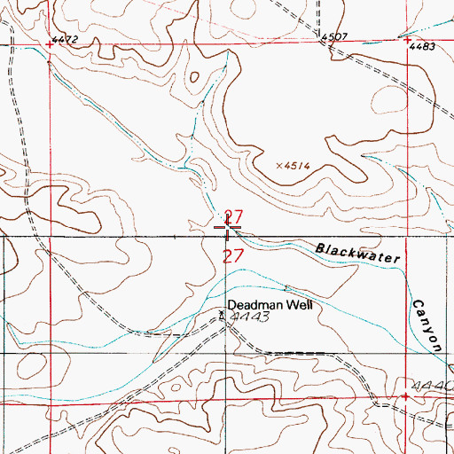 Topographic Map of Blackwater Canyon, NM