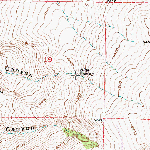 Topographic Map of Blas Spring, NM
