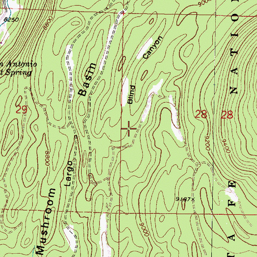 Topographic Map of Blind Canyon, NM