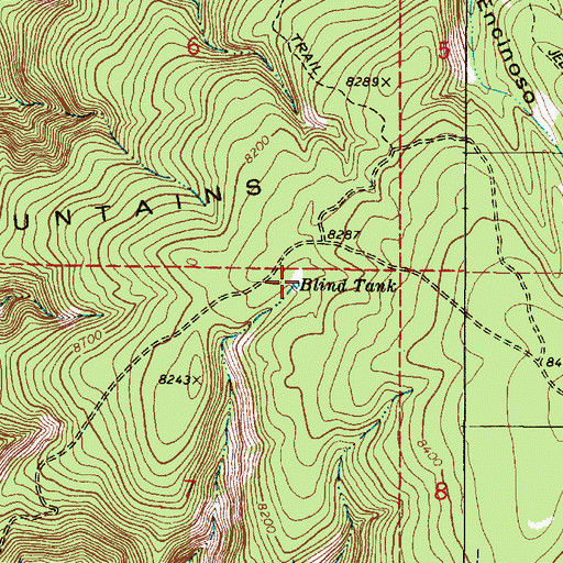 Topographic Map of Blind Tank, NM