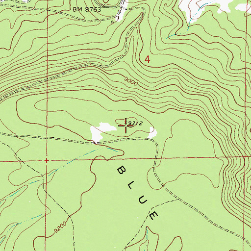 Topographic Map of Blue Bird Mesa, NM