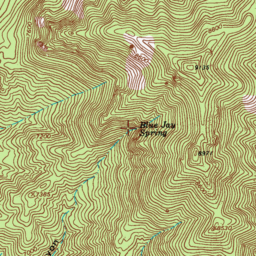 Topographic Map of Blue Jay Spring, NM