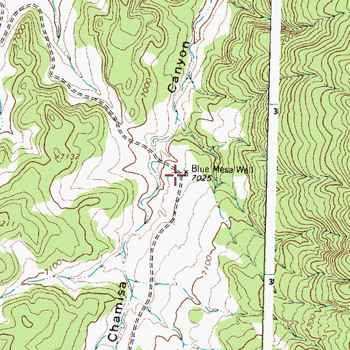 Topographic Map of Blue Mesa Well, NM