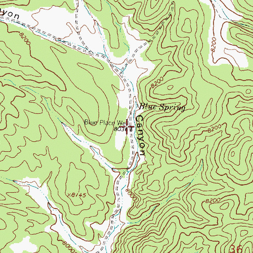 Topographic Map of Blue Place Well, NM