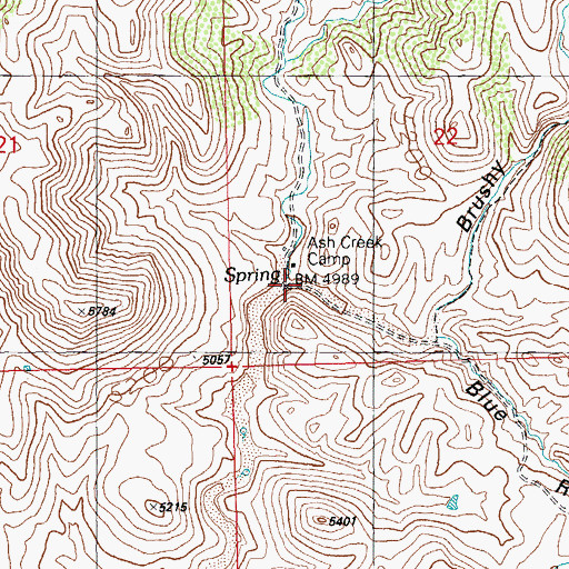 Topographic Map of Blue Rock Canyon, NM