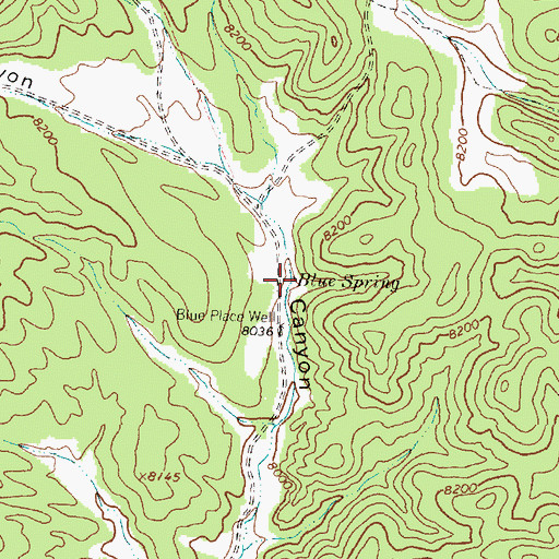 Topographic Map of Blue Spring, NM