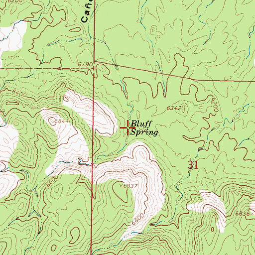 Topographic Map of Bluff Spring, NM