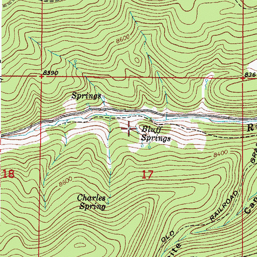 Topographic Map of Bluff Springs, NM