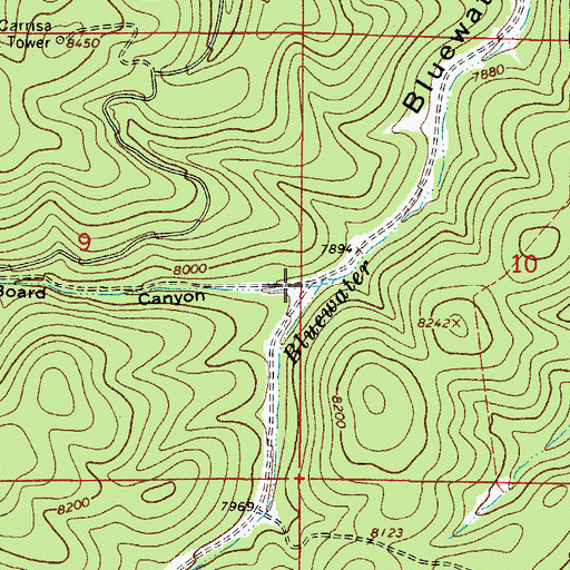Topographic Map of Board Canyon, NM