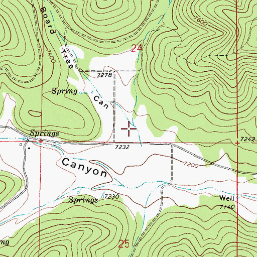 Topographic Map of Board Tree Canyon, NM