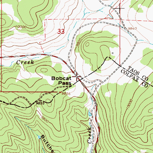 Topographic Map of Bobcat Pass, NM