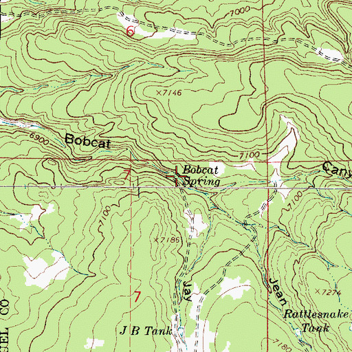 Topographic Map of Bobcat Spring, NM